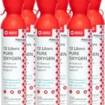 american-red-cross-boost-oxygen-xl-12-liter-rapid-response-98-concentration-portable-oxygen-canisters-2-pack
