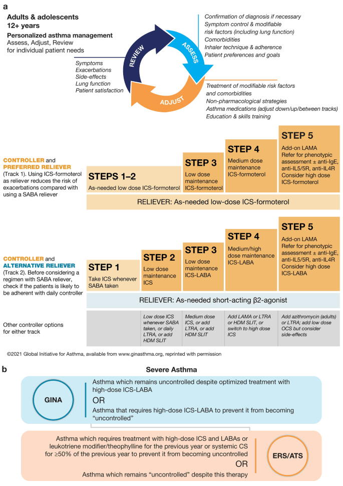 Are There Any New Advancements In Asthma Treatment That I Should Be Aware Of? Are There Any New Advancements In Asthma Treatment That I Should Be Aware Of?
