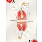 can-a-person-with-copd-get-better