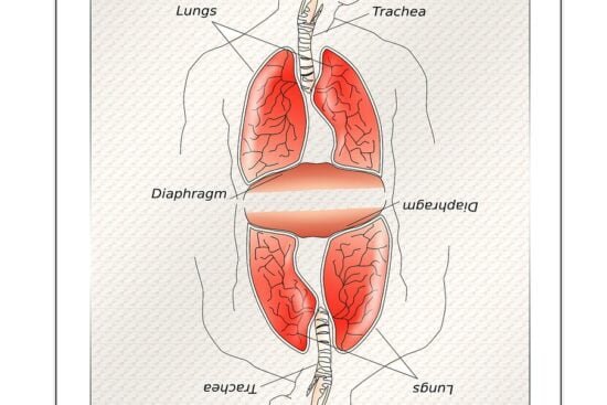 can-a-person-with-copd-get-better