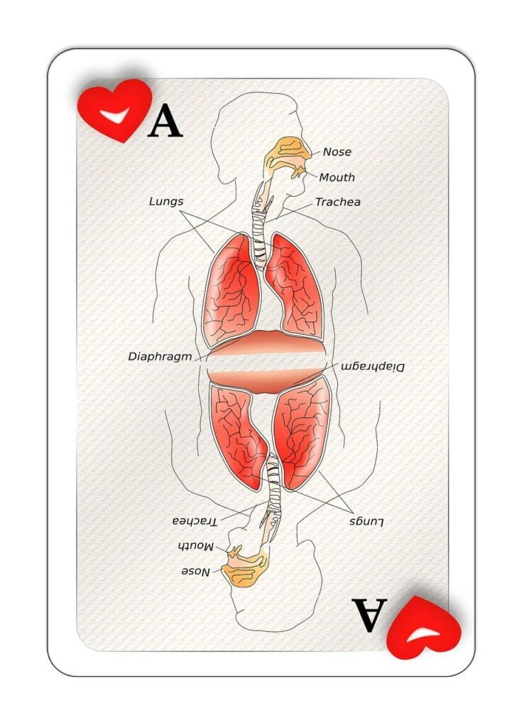 Can Your Lungs Get Better After Pulmonary Rehab?