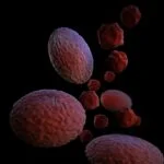 how-serious-is-copd
