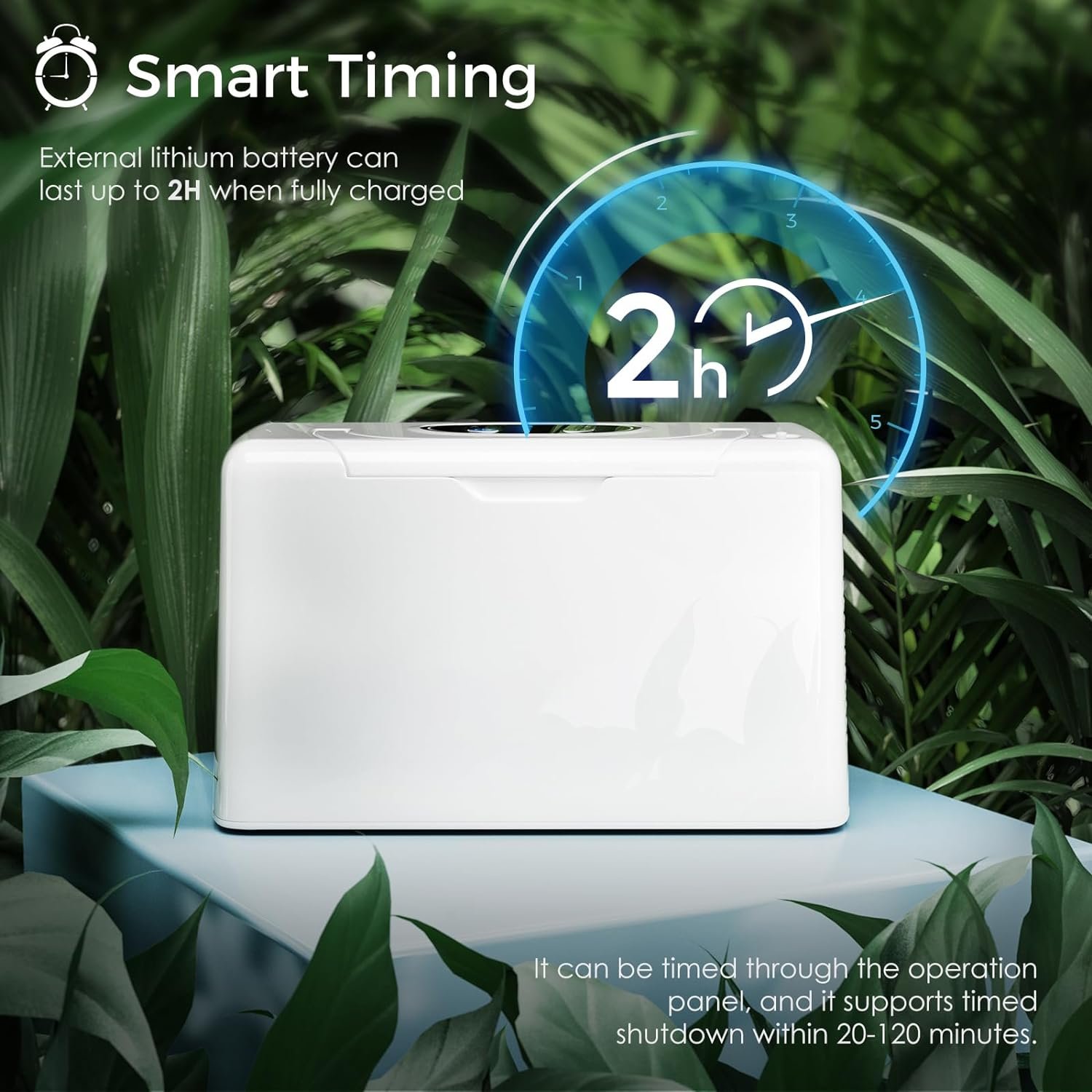 Portable Oxygen Concentrator 3 L Compact Continuous Oxygen Machine, 35% Battery Powered Oxygen Generator AC110-240v 3.3lbs