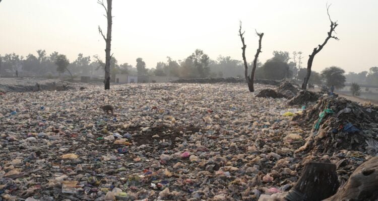 what-are-the-best-practices-for-air-quality-and-lung-health-2