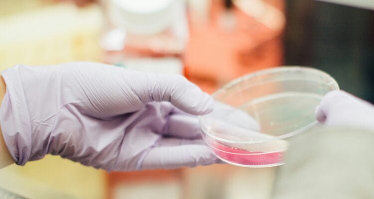 what are the best practices for chronic cough management 2