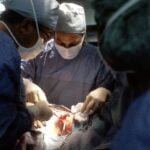 What Are The Best Practices For Respiratory Infections? 13 what-are-the-best-practices-for-respiratory-infections