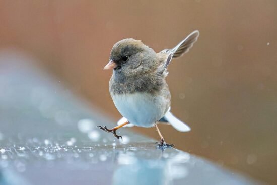 what-helps-asthma-without-an-inhaler-2