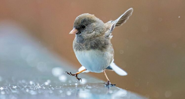 what-helps-asthma-without-an-inhaler-2