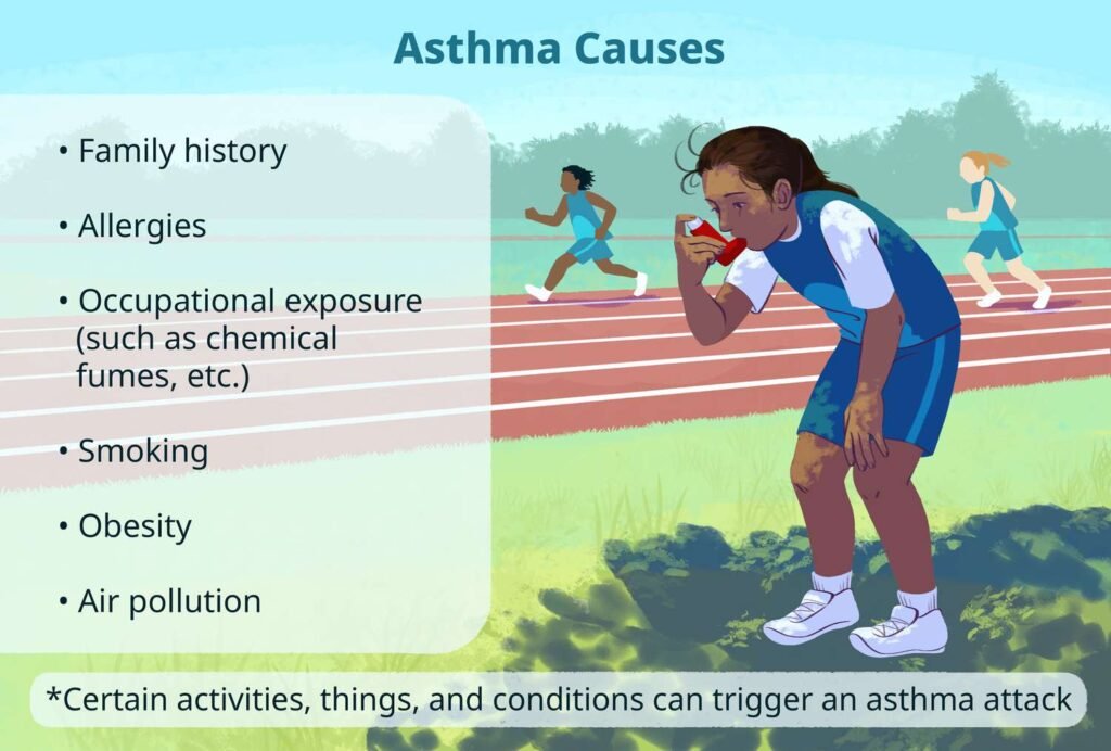 What Is Daily Life Like With Asthma? What Is Daily Life Like With Asthma?