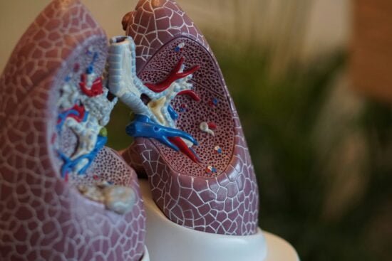 what-is-the-number-one-thing-a-person-must-do-if-they-have-copd