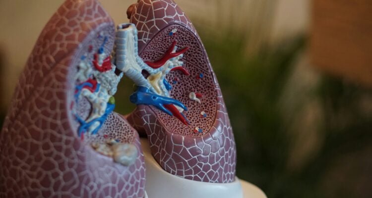 what-is-the-number-one-thing-a-person-must-do-if-they-have-copd